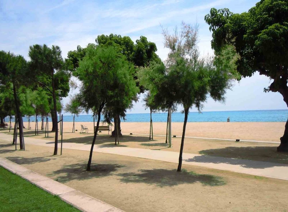 Camping Bellsol Pineda de Mar Bagian luar foto